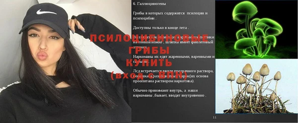 хмурый Арсеньев