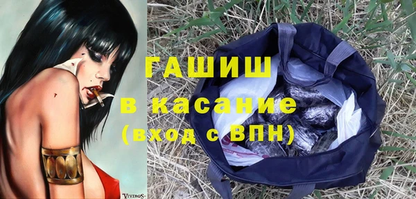 хмурый Арсеньев