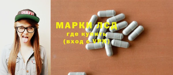 хмурый Арсеньев