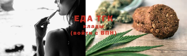 хмурый Арсеньев