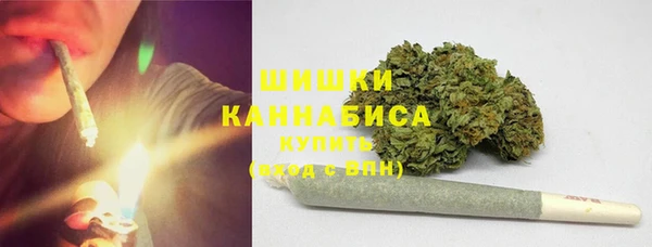 хмурый Арсеньев