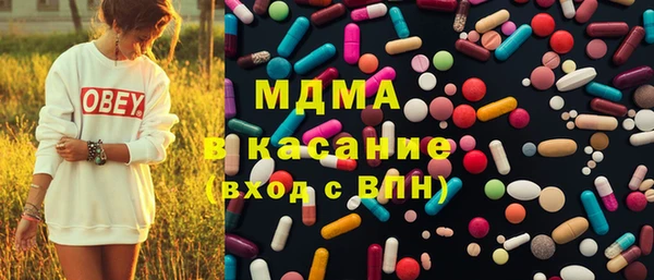 хмурый Арсеньев