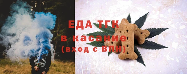 хмурый Арсеньев