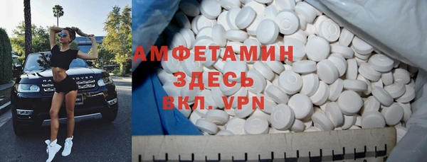 хмурый Арсеньев