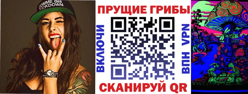 Купить где  Алексин  Галлюциногенные грибы GOLDEN TEACHER 